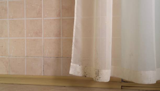 Best Emergency Mold Remediation  in Columbus, NM