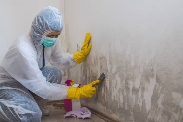Mold Remediation for Rental Properties in Columbus, NM