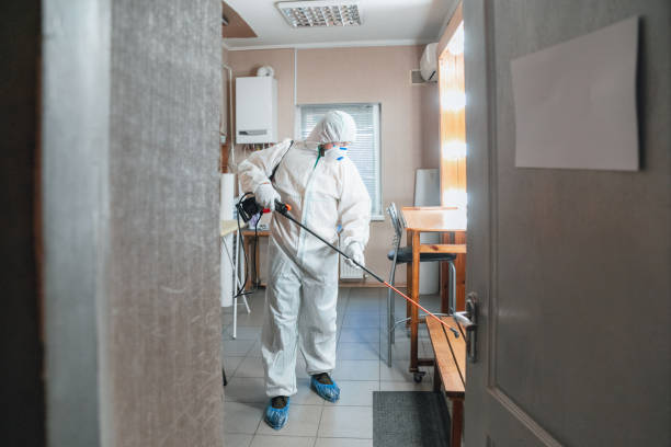 Best Mold-Related Health Consultation  in Columbus, NM