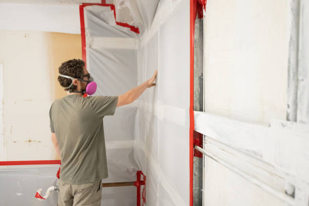 Best Crawl Space Mold Remediation  in Columbus, NM