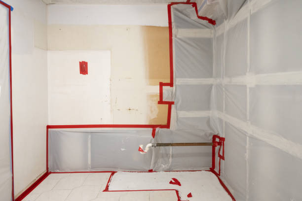 Best Post-Remediation Verification Testing  in Columbus, NM
