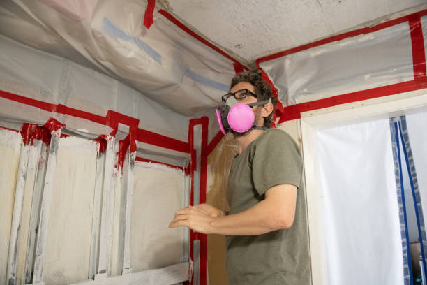 Best Mold Prevention Services  in Columbus, NM