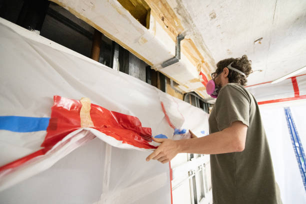Best Mold Documentation for Insurance Claims  in Columbus, NM