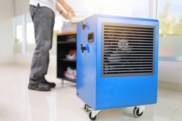 Best Mold Removal for HVAC Installations  in Columbus, NM