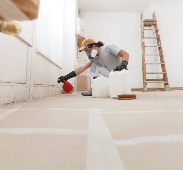  Columbus, NM Mold Removal Pros