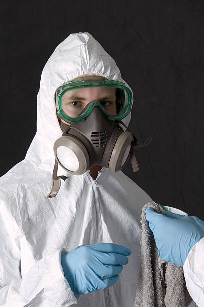 Best Black Mold Removal  in Columbus, NM